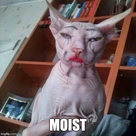 MOIST | image tagged in moist | made w/ Imgflip meme maker