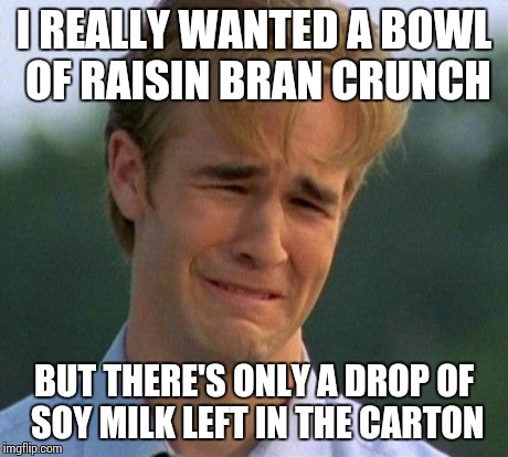 1990s First World Problems Meme | I REALLY WANTED A BOWL OF RAISIN BRAN CRUNCH BUT THERE'S ONLY A DROP OF SOY MILK LEFT IN THE CARTON | image tagged in memes,1990s first world problems | made w/ Imgflip meme maker