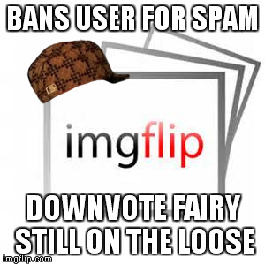 Scumbag imgflip | BANS USER FOR SPAM DOWNVOTE FAIRY STILL ON THE LOOSE | image tagged in memes | made w/ Imgflip meme maker