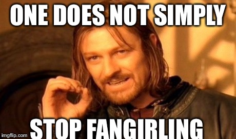 One Does Not Simply | ONE DOES NOT SIMPLY STOP FANGIRLING | image tagged in memes,one does not simply | made w/ Imgflip meme maker