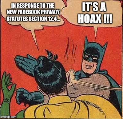 Batman Slapping Robin | IN RESPONSE TO THE NEW FACEBOOK PRIVACY STATUTES SECTION 12.4... IT'S A HOAX !!! | image tagged in memes,batman slapping robin | made w/ Imgflip meme maker
