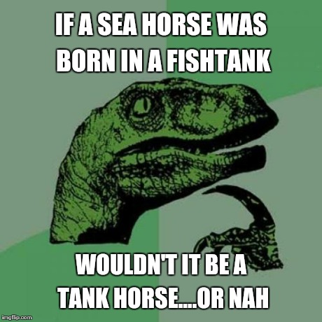 Philosoraptor | IF A SEA HORSE WAS BORN IN A FISHTANK WOULDN'T IT BE A TANK HORSE....OR NAH | image tagged in memes,philosoraptor | made w/ Imgflip meme maker