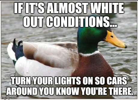 Actual Advice Mallard Meme | IF IT'S ALMOST WHITE OUT CONDITIONS... TURN YOUR LIGHTS ON SO CARS AROUND YOU KNOW YOU'RE THERE. | image tagged in memes,actual advice mallard,AdviceAnimals | made w/ Imgflip meme maker