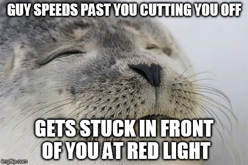 Satisfied Seal | GUY SPEEDS PAST YOU CUTTING YOU OFF GETS STUCK IN FRONT OF YOU AT RED LIGHT | image tagged in memes,satisfied seal | made w/ Imgflip meme maker