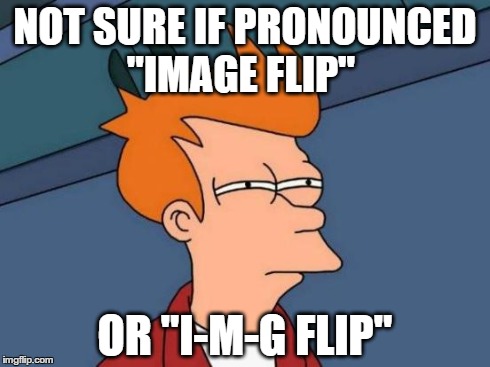 Futurama Fry Meme | NOT SURE IF PRONOUNCED "IMAGE FLIP" OR "I-M-G FLIP" | image tagged in memes,futurama fry | made w/ Imgflip meme maker