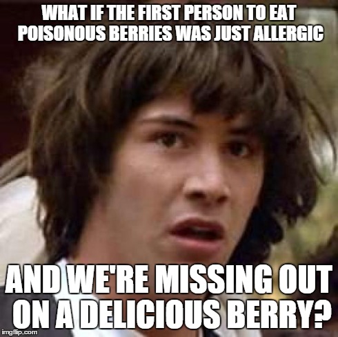 It makes enough sense | WHAT IF THE FIRST PERSON TO EAT POISONOUS BERRIES WAS JUST ALLERGIC AND WE'RE MISSING OUT ON A DELICIOUS BERRY? | image tagged in memes,conspiracy keanu | made w/ Imgflip meme maker
