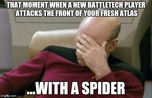 Captain Picard Facepalm Meme | THAT MOMENT WHEN A NEW BATTLETECH PLAYER ATTACKS THE FRONT OF YOUR FRESH ATLAS ...WITH A SPIDER | image tagged in memes,captain picard facepalm | made w/ Imgflip meme maker