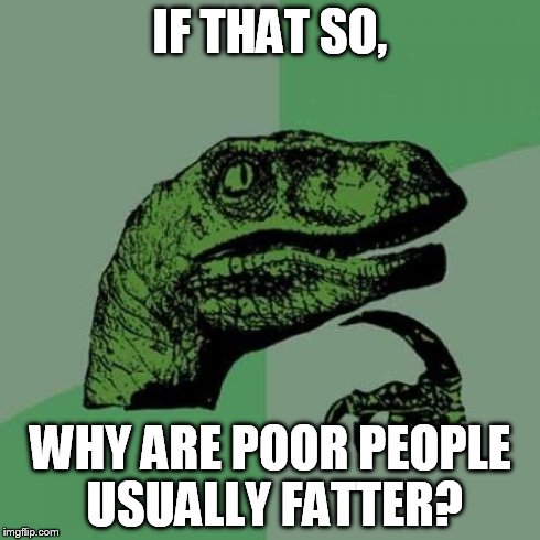 Philosoraptor Meme | IF THAT SO, WHY ARE POOR PEOPLE USUALLY FATTER? | image tagged in memes,philosoraptor | made w/ Imgflip meme maker