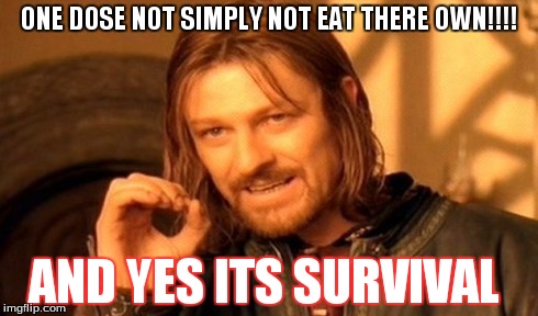 One Does Not Simply Meme | ONE DOSE NOT SIMPLY NOT EAT
THERE OWN!!!! AND YES ITS SURVIVAL | image tagged in memes,one does not simply | made w/ Imgflip meme maker