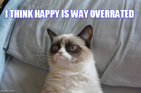 Happy Is Way Overrated | I THINK HAPPY IS WAY OVERRATED | image tagged in memes,grumpy cat bed,grumpy cat | made w/ Imgflip meme maker