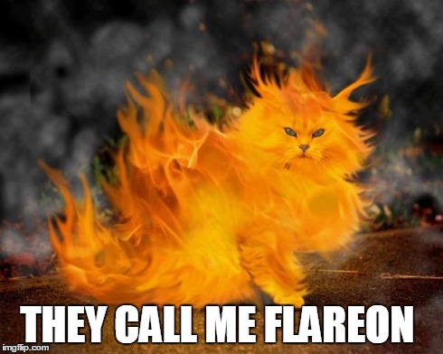 THEY CALL ME FLAREON | image tagged in flamingcat | made w/ Imgflip meme maker
