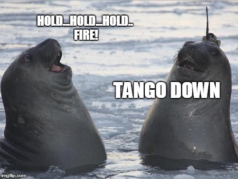 Two Awkward Seals | TANGO DOWN HOLD...HOLD...HOLD.. FIRE! | image tagged in two awkward seals | made w/ Imgflip meme maker