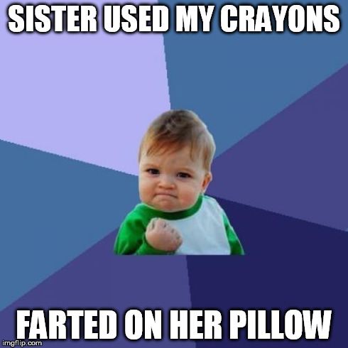 Success Kid | SISTER USED MY CRAYONS FARTED ON HER PILLOW | image tagged in memes,success kid | made w/ Imgflip meme maker