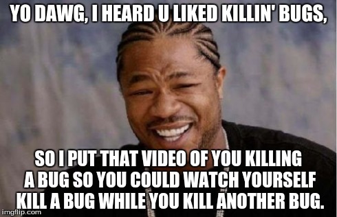 YO DAWG, I HEARD U LIKED KILLIN' BUGS, SO I PUT THAT VIDEO OF YOU KILLING A BUG SO YOU COULD WATCH YOURSELF KILL A BUG WHILE YOU KILL ANOTHE | image tagged in memes,yo dawg heard you | made w/ Imgflip meme maker