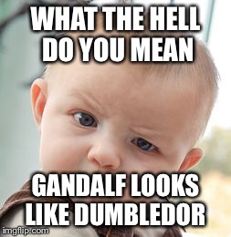 Skeptical Baby Meme | WHAT THE HELL DO YOU MEAN GANDALF LOOKS LIKE DUMBLEDOR | image tagged in memes,skeptical baby | made w/ Imgflip meme maker