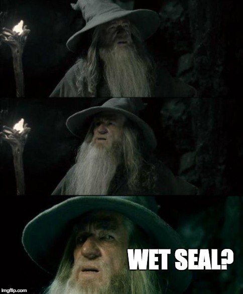Confused Gandalf Meme | WET SEAL? | image tagged in memes,confused gandalf,funny | made w/ Imgflip meme maker