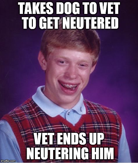 Bad Luck Brian | TAKES DOG TO VET TO GET NEUTERED VET ENDS UP NEUTERING HIM | image tagged in memes,bad luck brian | made w/ Imgflip meme maker