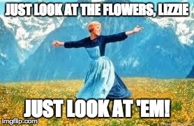 Look At All These Meme | JUST LOOK AT THE FLOWERS, LIZZIE JUST LOOK AT 'EM! | image tagged in memes,look at all these | made w/ Imgflip meme maker