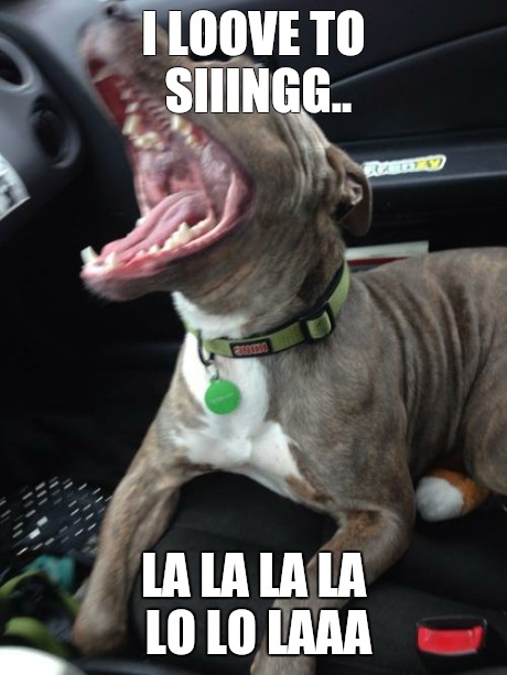 I LOOVE TO SIIINGG.. LA LA LA LA LO LO LAAA | image tagged in lo lo lo la la lo laaa laa | made w/ Imgflip meme maker