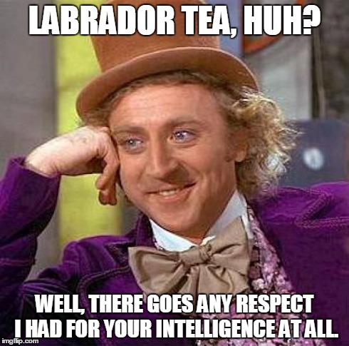 Creepy Condescending Wonka Meme | LABRADOR TEA, HUH? WELL, THERE GOES ANY RESPECT I HAD FOR YOUR INTELLIGENCE AT ALL. | image tagged in memes,creepy condescending wonka | made w/ Imgflip meme maker