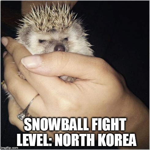 SNOWBALL FIGHT LEVEL: NORTH KOREA | image tagged in snowball | made w/ Imgflip meme maker