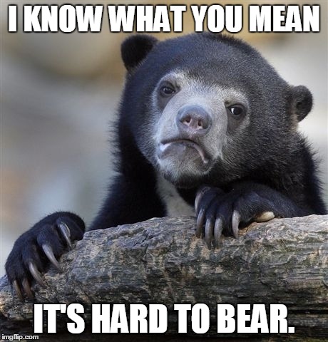 Confession Bear Meme | I KNOW WHAT YOU MEAN IT'S HARD TO BEAR. | image tagged in memes,confession bear | made w/ Imgflip meme maker