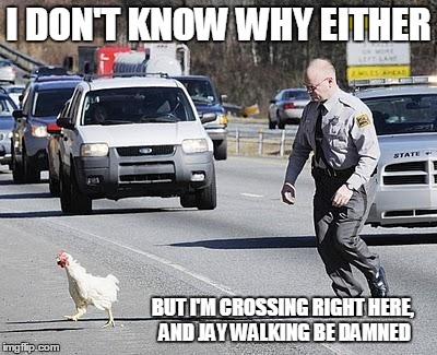 I DON'T KNOW WHY EITHER BUT I'M CROSSING RIGHT HERE, AND JAY WALKING BE DAMNED | image tagged in police chasing chicken | made w/ Imgflip meme maker