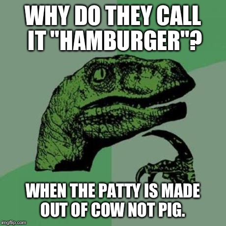 Philosoraptor | WHY DO THEY CALL IT "HAMBURGER"? WHEN THE PATTY IS MADE OUT OF COW NOT PIG. | image tagged in memes,philosoraptor | made w/ Imgflip meme maker