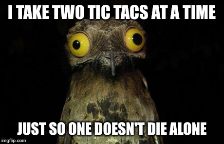 Weird Stuff I Do Potoo | I TAKE TWO TIC TACS AT A TIME JUST SO ONE DOESN'T DIE ALONE | image tagged in memes,weird stuff i do potoo | made w/ Imgflip meme maker