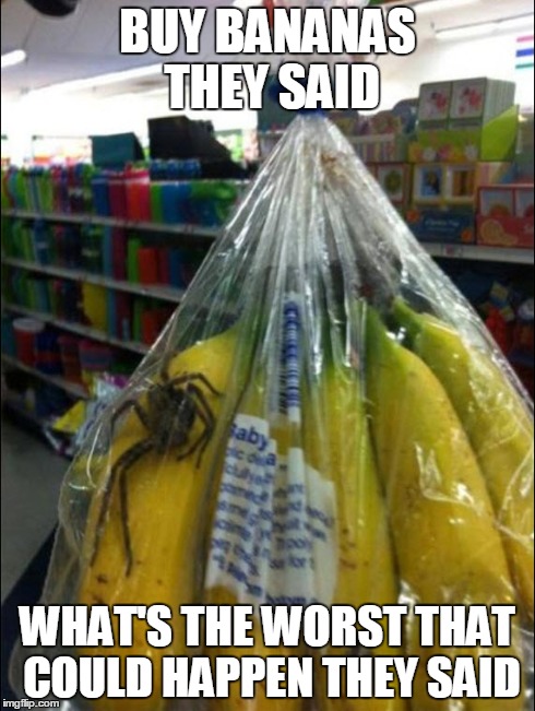 BUY BANANAS THEY SAID WHAT'S THE WORST THAT COULD HAPPEN THEY SAID | image tagged in bananas,banana | made w/ Imgflip meme maker