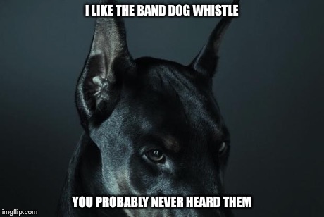 doberman | I LIKE THE BAND DOG WHISTLE YOU PROBABLY NEVER HEARD THEM | image tagged in doberman | made w/ Imgflip meme maker