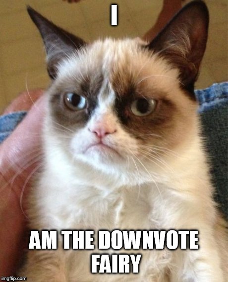 Grumpy Cat Meme | I AM THE DOWNVOTE FAIRY | image tagged in memes,grumpy cat | made w/ Imgflip meme maker