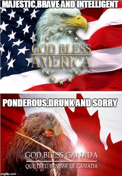 MAJESTIC,BRAVE AND INTELLIGENT PONDEROUS,DRUNK AND SORRY | image tagged in national animal | made w/ Imgflip meme maker