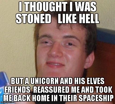 10 Guy Meme | I THOUGHT I WAS STONED   LIKE HELL BUT A UNICORN AND HIS ELVES FRIENDS  REASSURED ME AND TOOK ME BACK HOME IN THEIR SPACESHIP | image tagged in memes,10 guy | made w/ Imgflip meme maker
