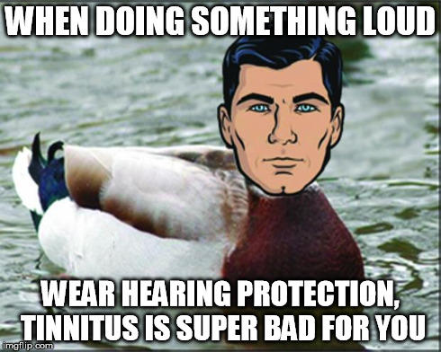 WHEN DOING SOMETHING LOUD WEAR HEARING PROTECTION, TINNITUS IS SUPER BAD FOR YOU | image tagged in sterling mallardry archer,AdviceAnimals | made w/ Imgflip meme maker