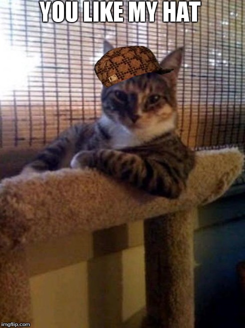 The Most Interesting Cat In The World Meme | YOU LIKE MY HAT | image tagged in memes,the most interesting cat in the world,scumbag | made w/ Imgflip meme maker