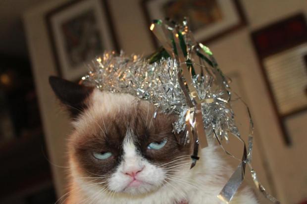 Grumpy Cat New Years Blank Meme Template