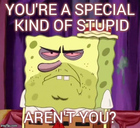 Pissedbob Angrypants | YOU'RE A SPECIAL KIND OF STUPID AREN'T YOU? | image tagged in pissedbob angrypants | made w/ Imgflip meme maker