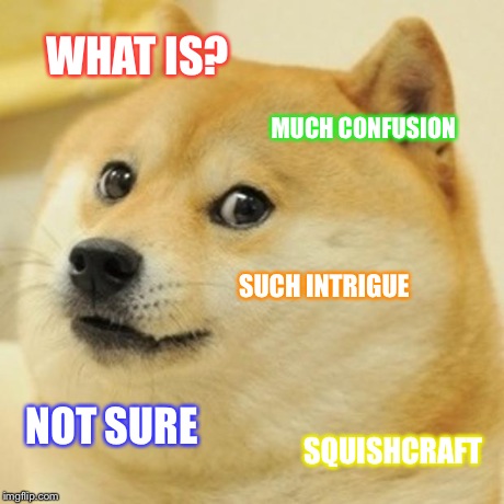 Doge Meme | WHAT IS? MUCH CONFUSION SUCH INTRIGUE NOT SURE SQUISHCRAFT | image tagged in memes,doge | made w/ Imgflip meme maker