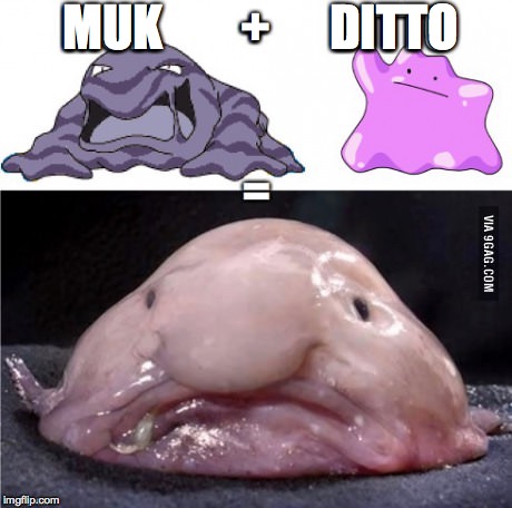 Real life pokemon transformation! | MUK        +      DITTO | image tagged in pokemon,math,blobfish,so true,funny,unexpected | made w/ Imgflip meme maker