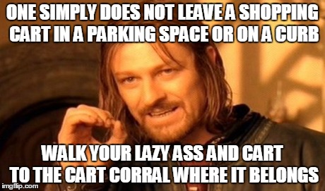 One Does Not Simply | ONE SIMPLY DOES NOT LEAVE A SHOPPING CART IN A PARKING SPACE OR ON A CURB WALK YOUR LAZY ASS AND CART TO THE CART CORRAL WHERE IT BELONGS | image tagged in memes,one does not simply | made w/ Imgflip meme maker
