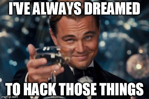 Leonardo Dicaprio Cheers Meme | I'VE ALWAYS DREAMED TO HACK THOSE THINGS | image tagged in memes,leonardo dicaprio cheers | made w/ Imgflip meme maker