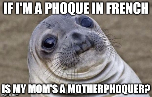 Philososeal | IF I'M A PHOQUE IN FRENCH IS MY MOM'S A MOTHERPHOQUER? | image tagged in memes,awkward moment sealion,philosoraptor | made w/ Imgflip meme maker