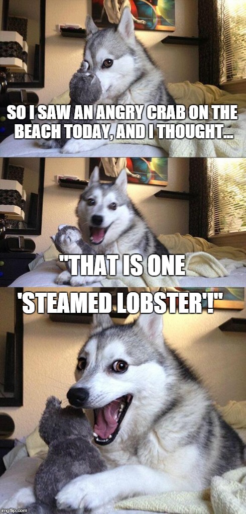 *crickets chirping* | SO I SAW AN ANGRY CRAB ON THE BEACH TODAY, AND I THOUGHT... "THAT IS ONE 'STEAMED LOBSTER'!" | image tagged in memes,bad pun dog,crab,lobster,lolz,funny | made w/ Imgflip meme maker