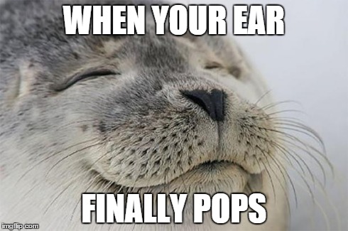 Satisfied Seal Meme | WHEN YOUR EAR FINALLY POPS | image tagged in memes,satisfied seal,AdviceAnimals | made w/ Imgflip meme maker