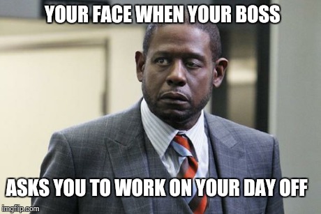 Forest Whitaker | YOUR FACE WHEN YOUR BOSS ASKS YOU TO WORK ON YOUR DAY OFF | image tagged in forest whitaker | made w/ Imgflip meme maker