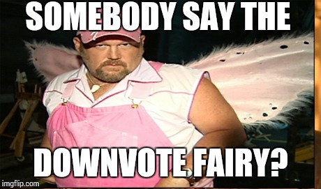 SOMEBODY SAY THE DOWNVOTE FAIRY? | made w/ Imgflip meme maker