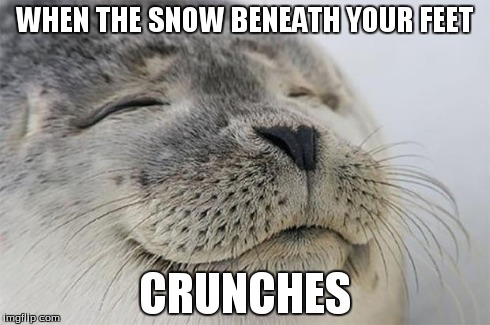 Satisfied Seal Meme | WHEN THE SNOW BENEATH YOUR FEET CRUNCHES | image tagged in memes,satisfied seal | made w/ Imgflip meme maker