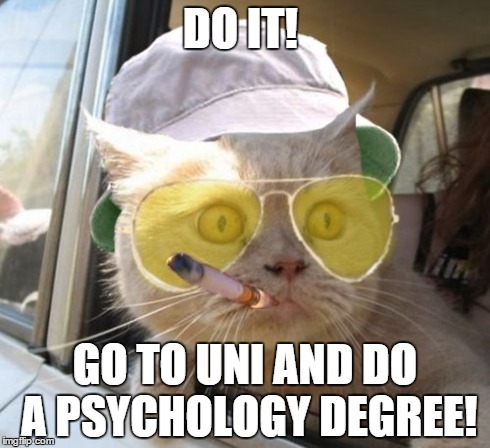Fear And Loathing Cat | DO IT! GO TO UNI AND DO A PSYCHOLOGY DEGREE! | image tagged in memes,fear and loathing cat | made w/ Imgflip meme maker