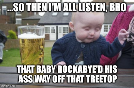 Drunk Baby Meme | ...SO THEN I'M ALL LISTEN, BRO THAT BABY ROCKABYE'D HIS ASS WAY OFF THAT TREETOP | image tagged in memes,drunk baby | made w/ Imgflip meme maker